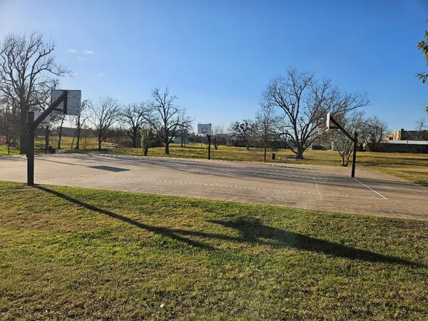 a view of a yard