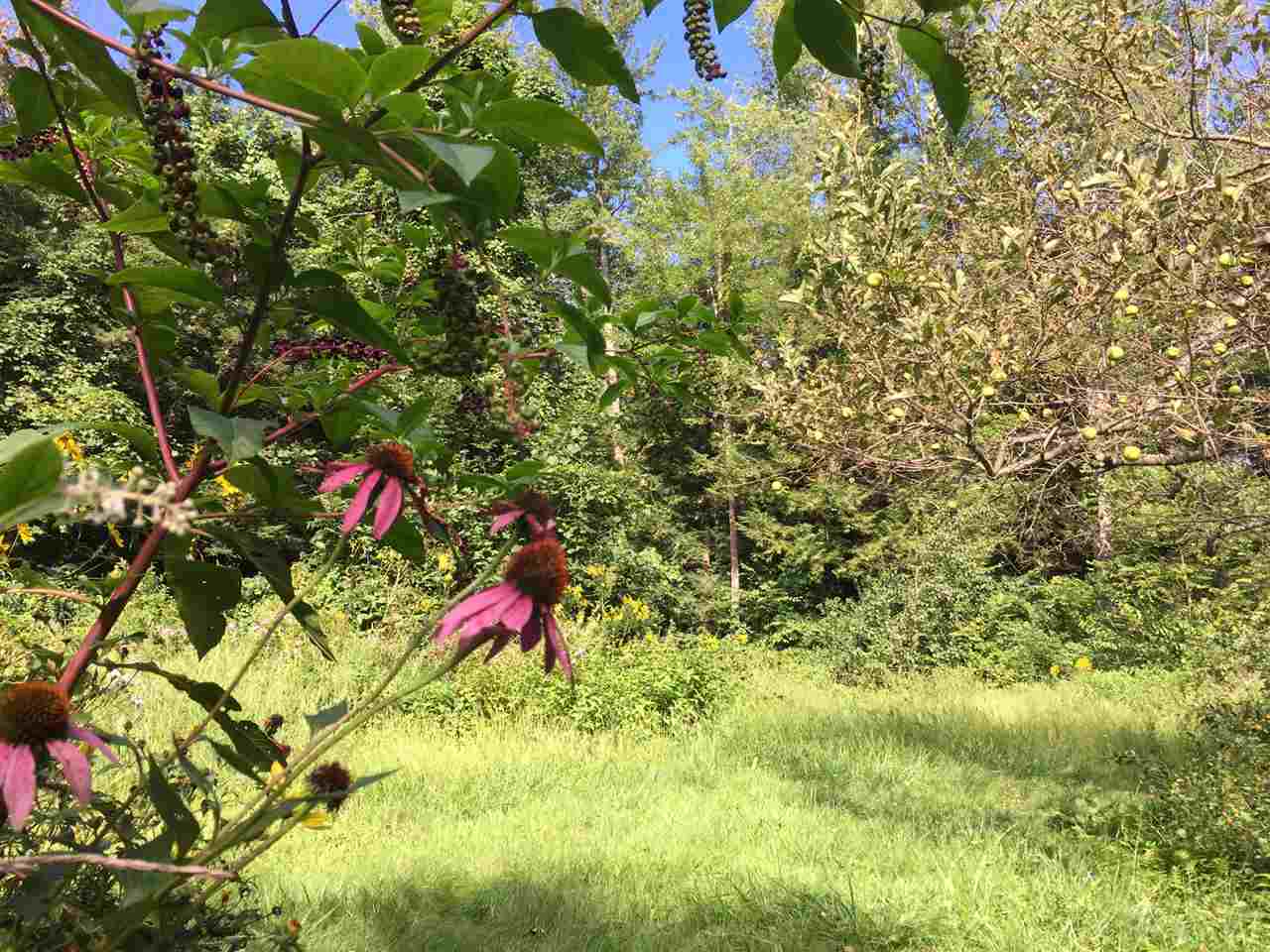 465 Abbott Road Brattleboro, VT 05301 - Photo 11 of 36 Gallery Image 11