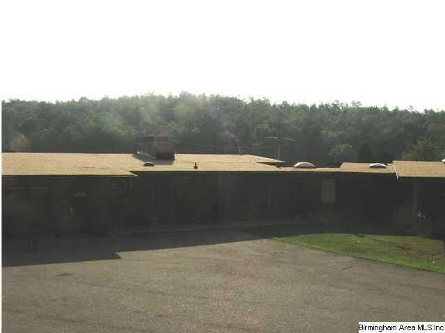1000 Arabian Road Columbiana, AL 35051 - Photo 15 of 23