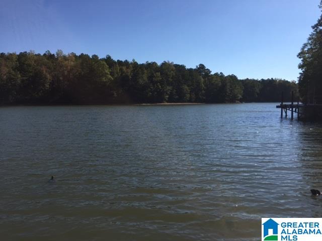 228 County Road, Unit 4 Lineville, AL 36266 - Photo 2 of 4