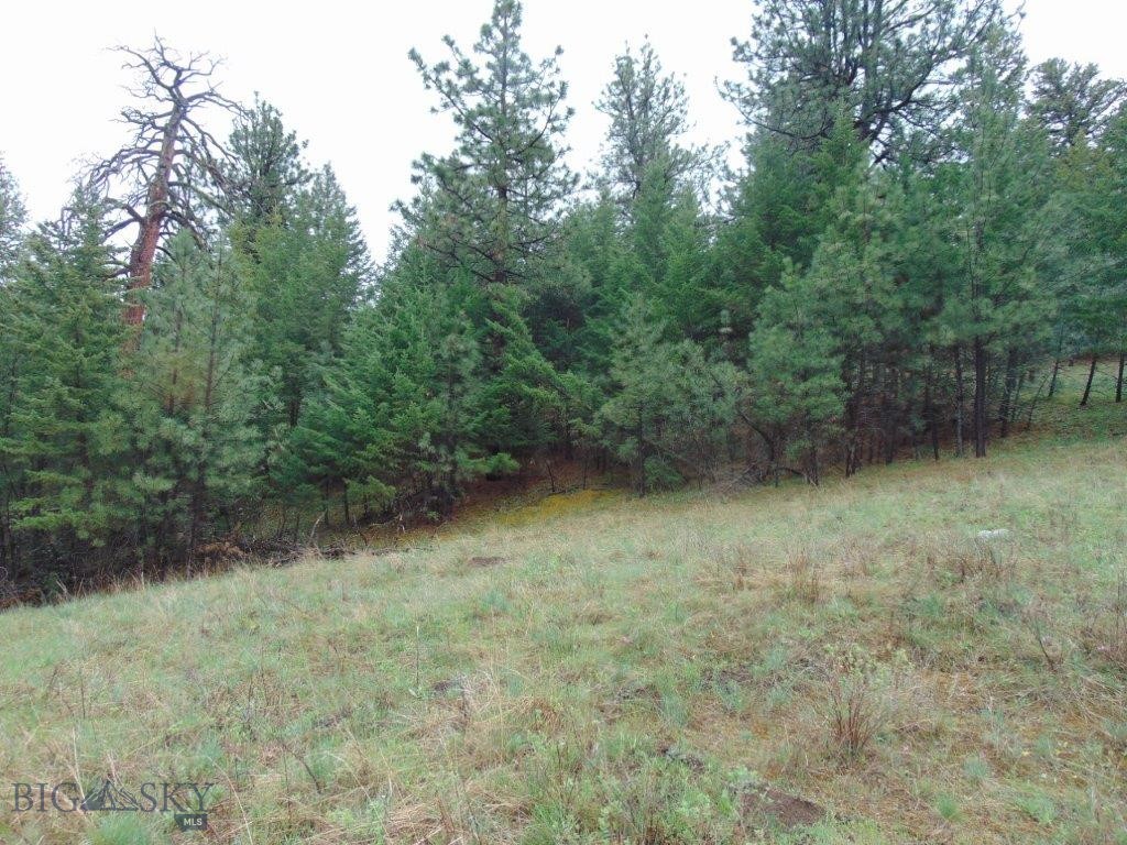 Tbd Shady Spring Lane Cascade, MT 59421 - Photo 46 of 78 Gallery Image 46