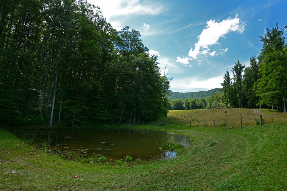 5225 Cornstalk Road Crawley, WV 24931 - Photo 23 of 44 Gallery Image 23