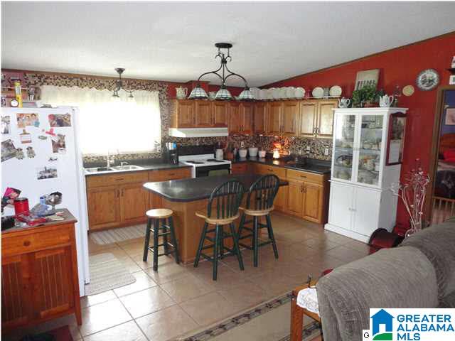 180 Hoyt Hill Road Ashville, AL 35953 - Photo 7 of 32