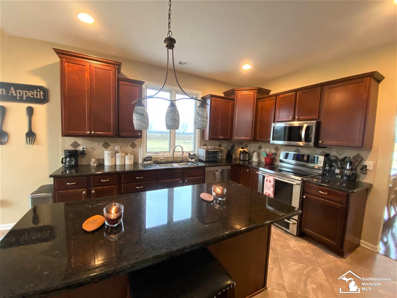 2625 Irish Road Ida, MI 48140 - Photo 16 of 51