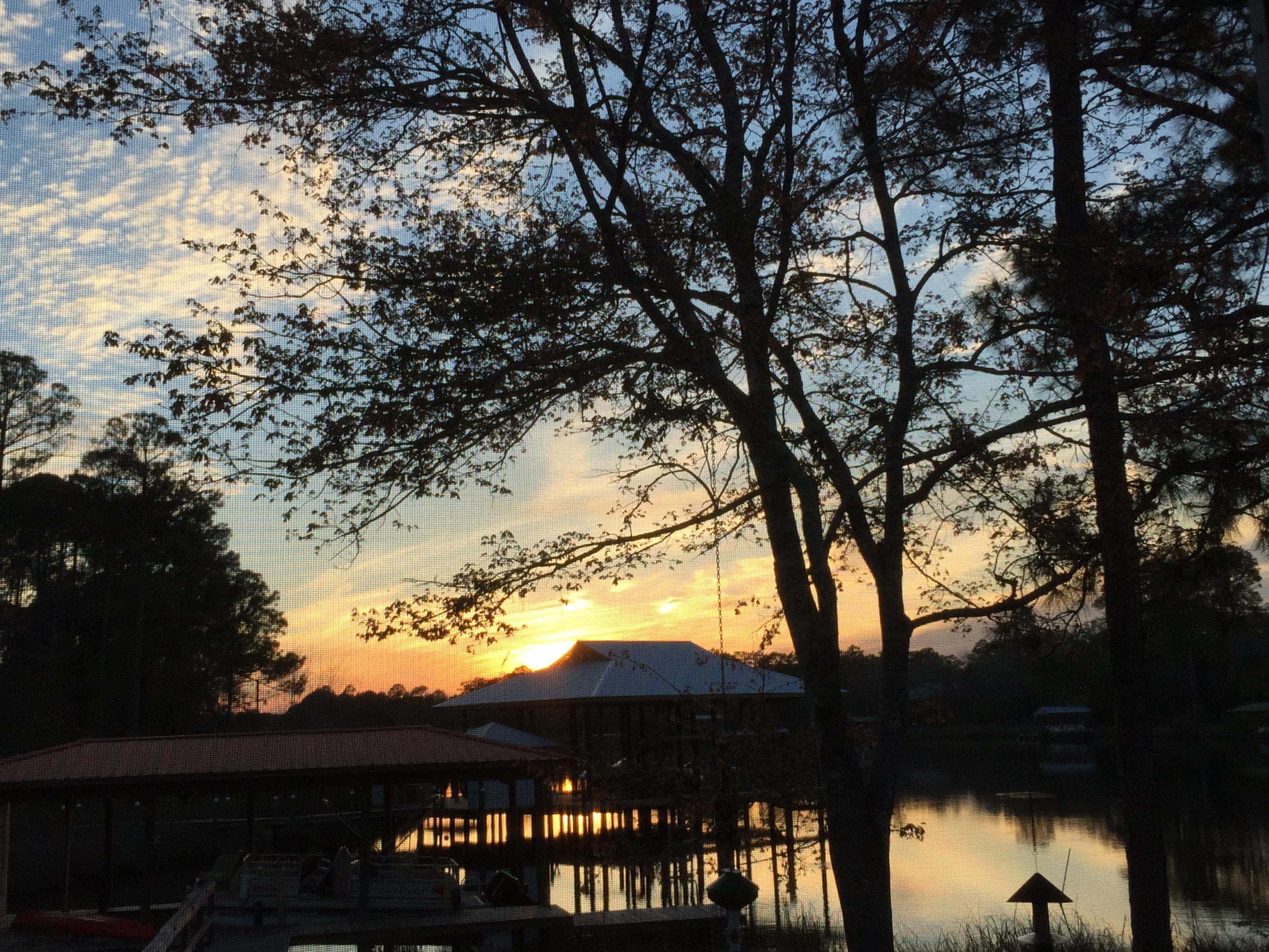 458 Bayou Circle Freeport, FL 32439 - Photo 28 of 33 a view of a tree