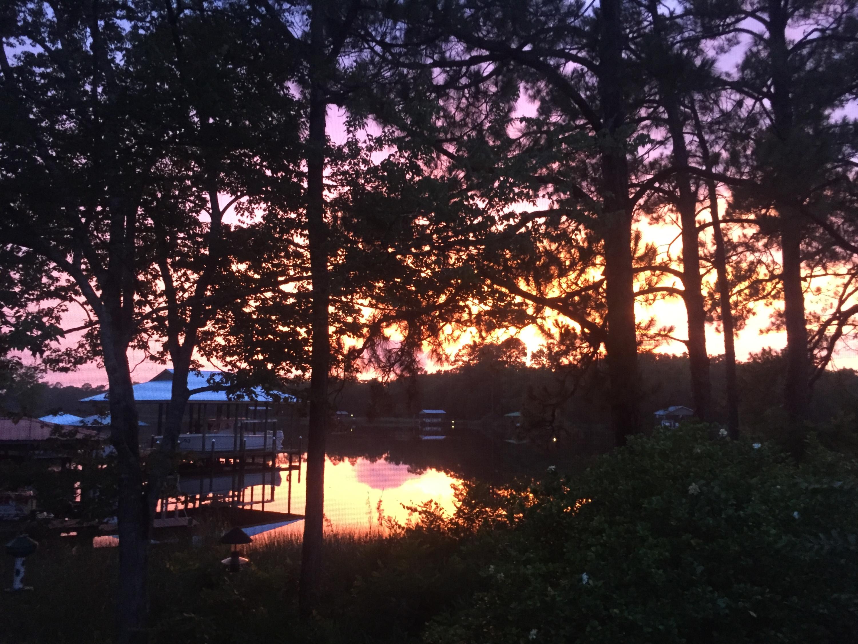 458 Bayou Circle Freeport, FL 32439 - Photo 29 of 33 a backyard of a house with table and tree