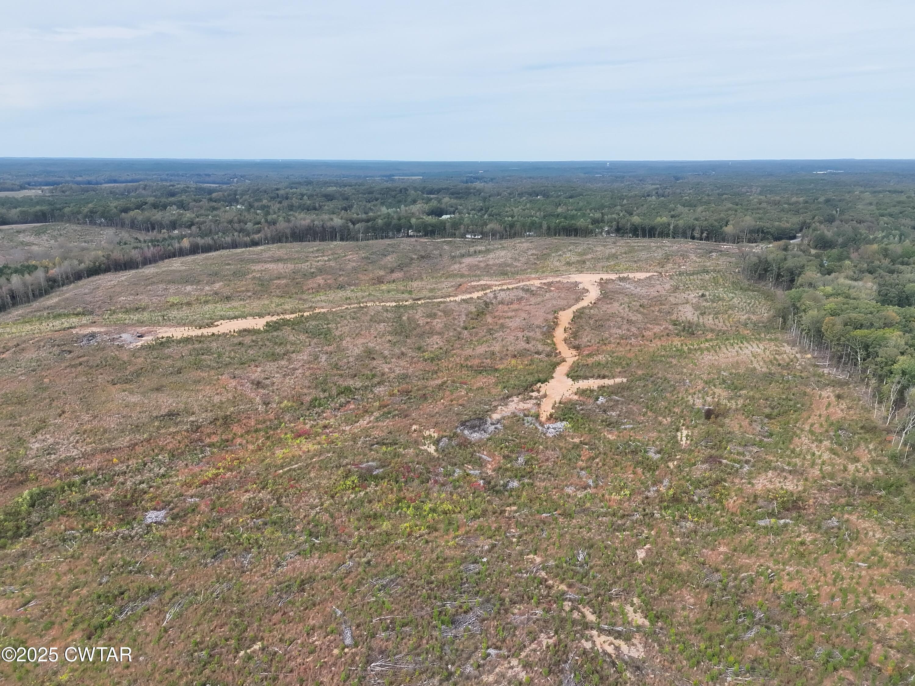 0 Luther Ingle Road Ramer, TN 38367 - Photo 4 of 9 a view of beach and ocean view