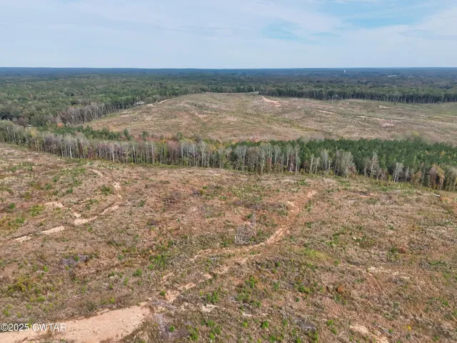 a view of a dry yard with beach