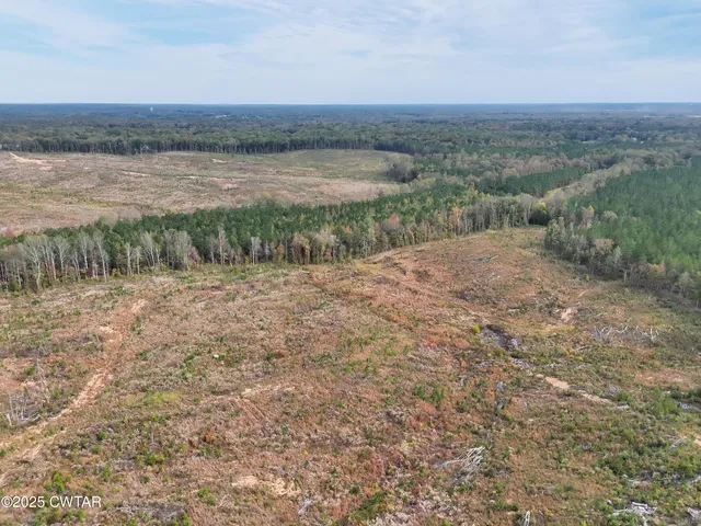 a view of a dry yard with green space and fog