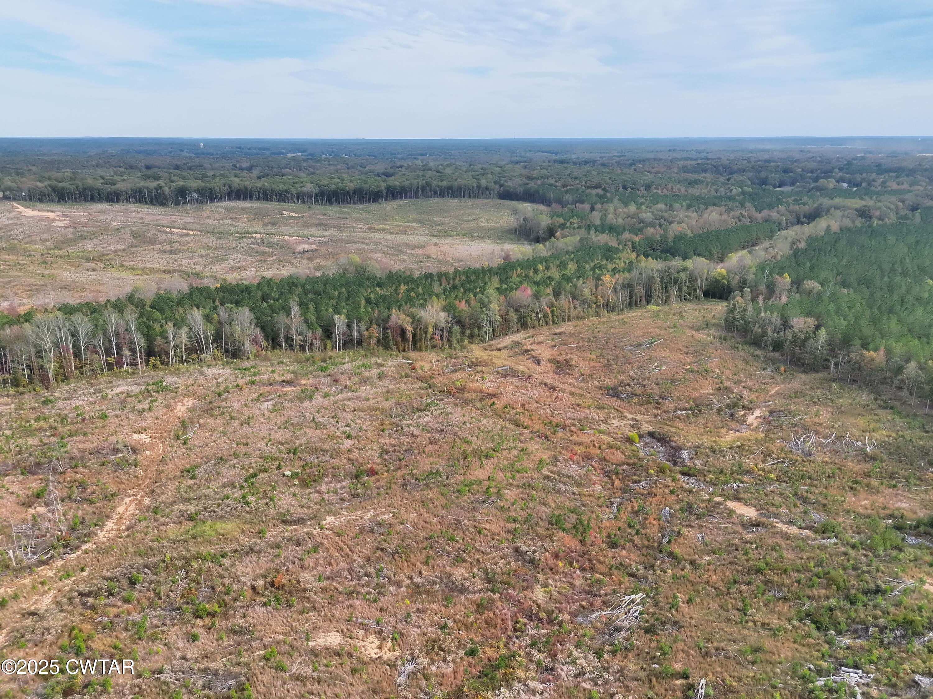 0 Luther Ingle Road Ramer, TN 38367 - Photo 7 of 9 a view of a dry yard with beach