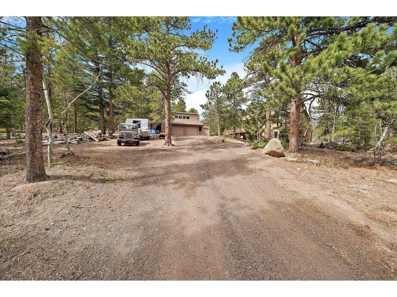 902 Rock Lake Road Ward, CO 80481 - Photo 24 of 32 a view of a yard with a tree