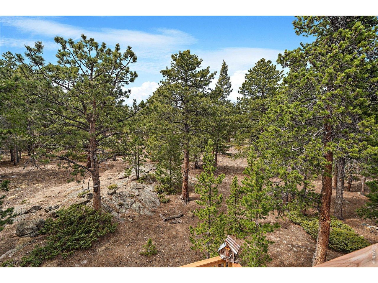 902 Rock Lake Road Ward, CO 80481 - Photo 24 of 48