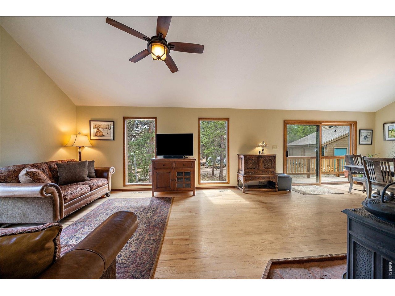 902 Rock Lake Road Ward, CO 80481 - Photo 9 of 48