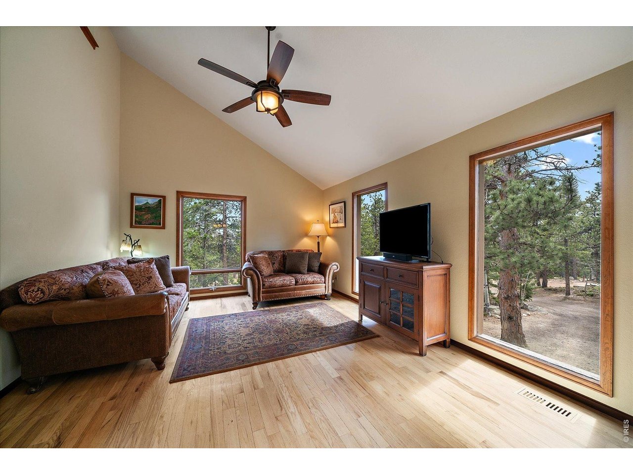 902 Rock Lake Road Ward, CO 80481 - Photo 10 of 48