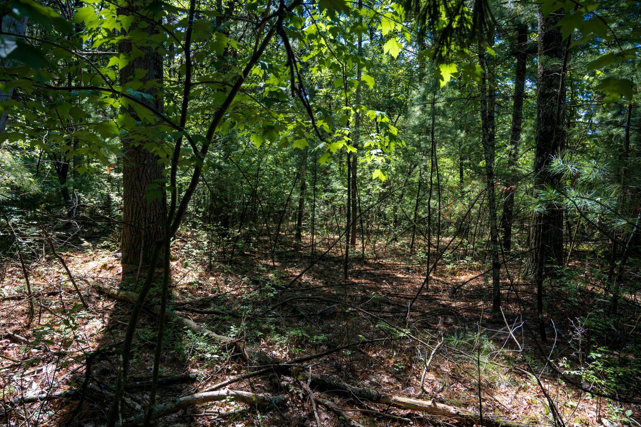 Lot 132 19th Arkdale, WI 54613 - Photo 12 of 27