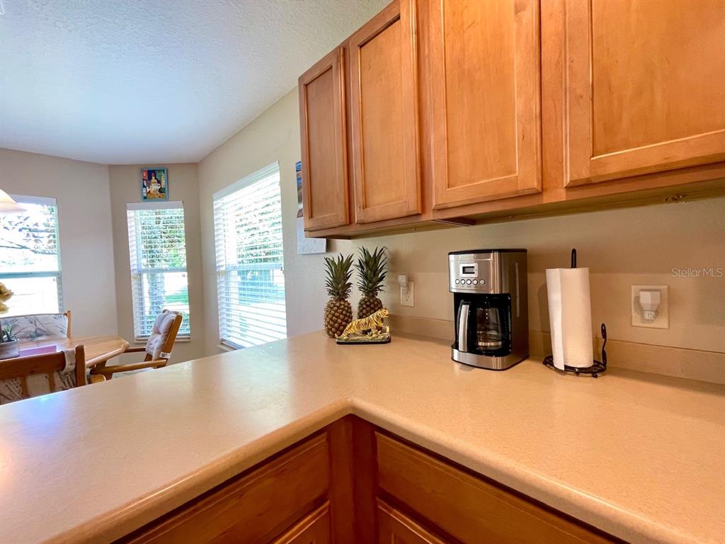 16026 Southwest 14th Avenue Road Ocala, FL 34473 - Photo 31 of 79 a kitchen with sink and cabinets