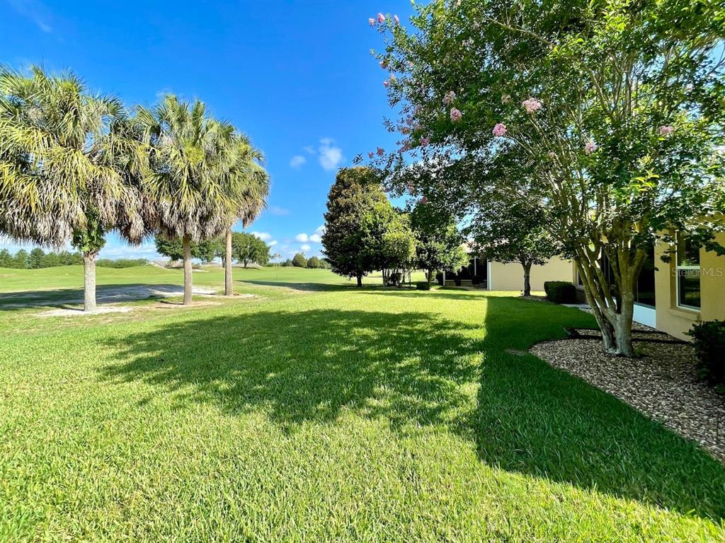 16026 Southwest 14th Avenue Road Ocala, FL 34473 - Photo 65 of 79 a view of a park with large trees