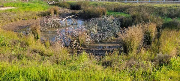 a view of swimming pool from a lake view