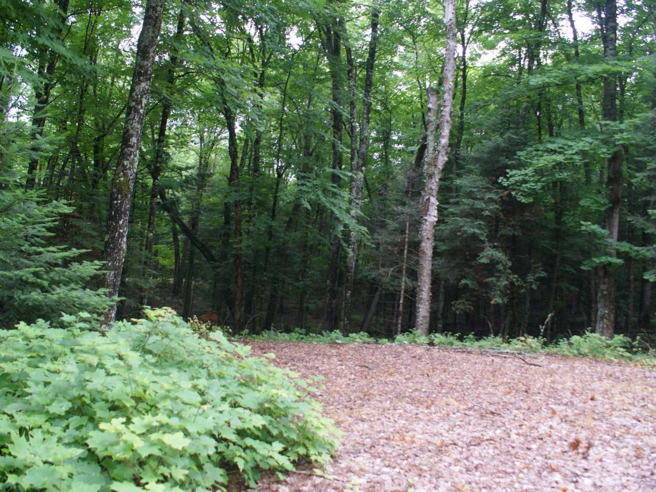 On Moonshine Valley Road, Unit LOT 1 Presque Isle, WI 54557 - Photo 9 of 9 Gallery Image 9
