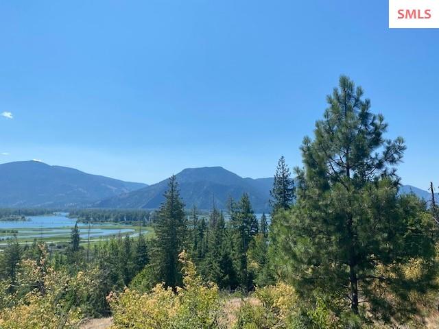 Lot E Highway 200 Clark Fork, ID 83811 - Photo 5 of 25