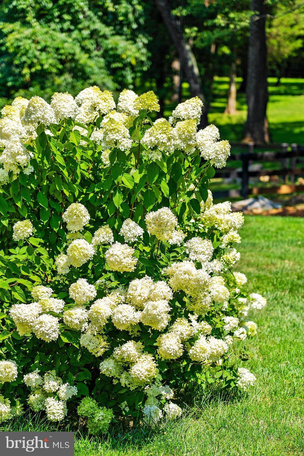 18184 Canby Road Leesburg, VA 20175 - Photo 43 of 47