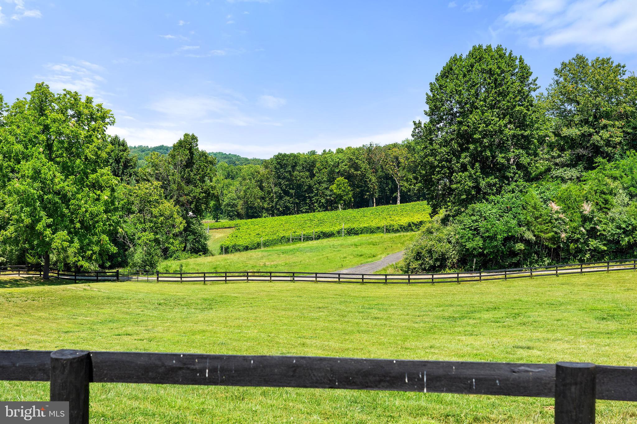 18184 Canby Road Leesburg, VA 20175 - Photo 10 of 47