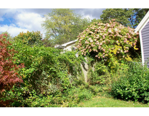 89 Acton Road Chelmsford, MA 01824 - Photo 15 of 19 Gallery Image 15