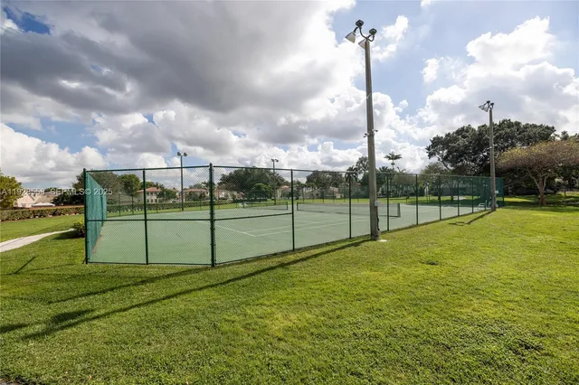a view of a park with palm trees
