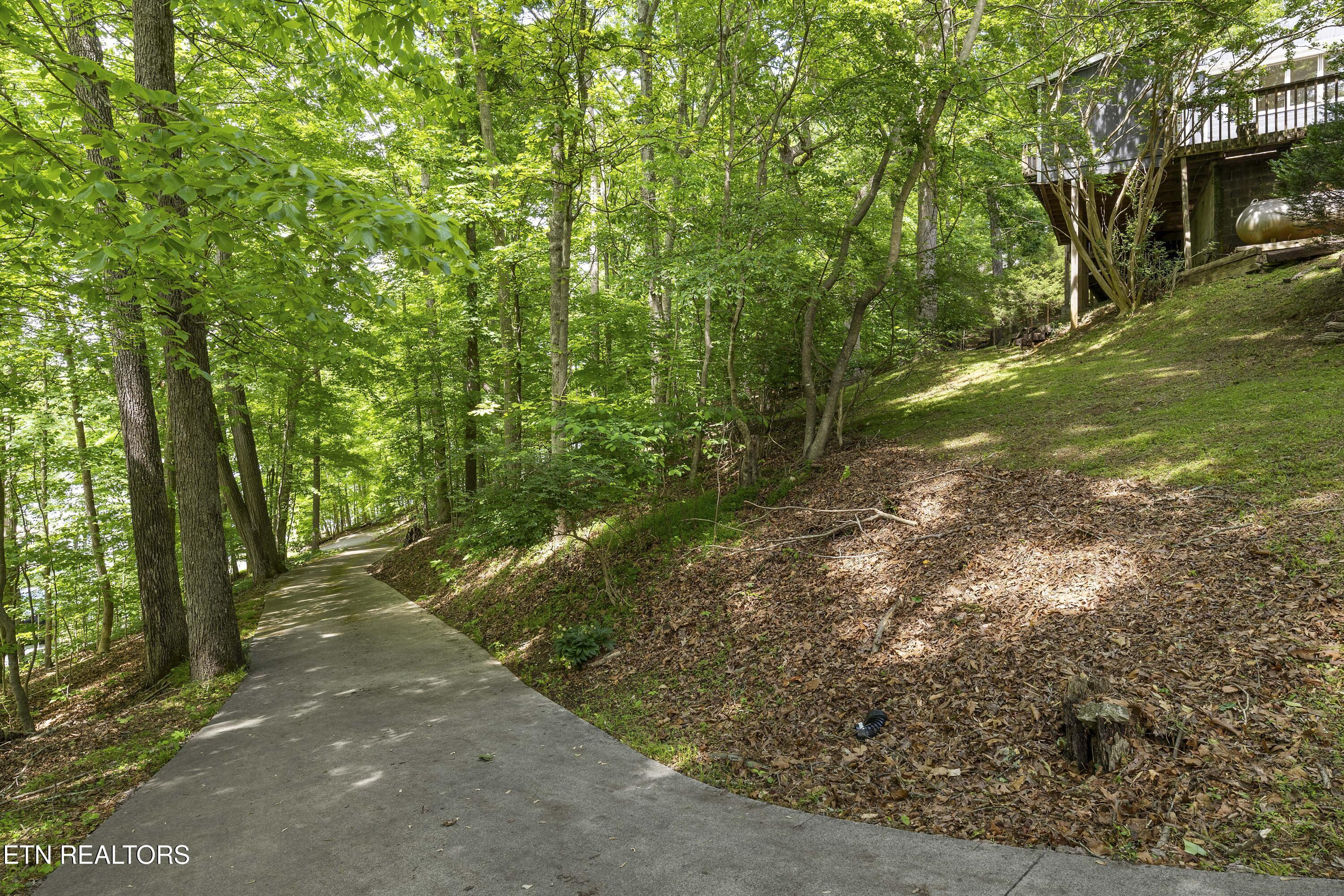 2611 Shore Line Road Knoxville, TN 37932 - Photo 41 of 47 Driveway to Lake Access