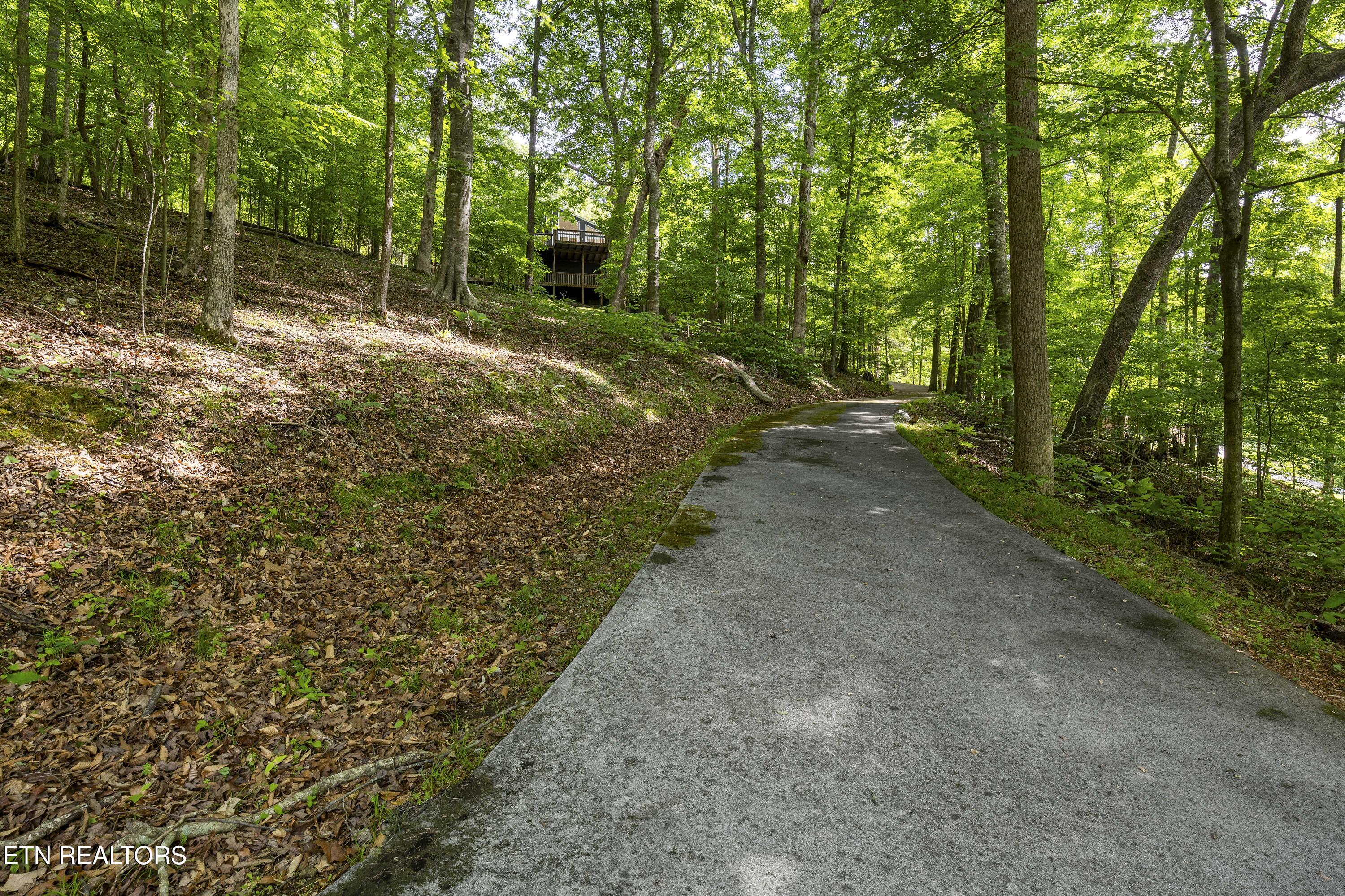 2611 Shore Line Road Knoxville, TN 37932 - Photo 42 of 47 Driveway to Lake Access