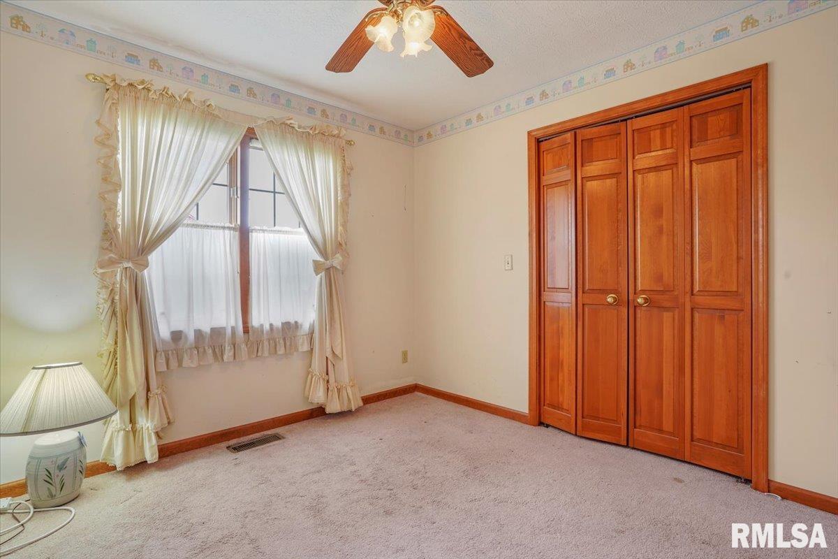 114 West Sherry Drive Springfield, IL 62703 - Photo 14 of 19