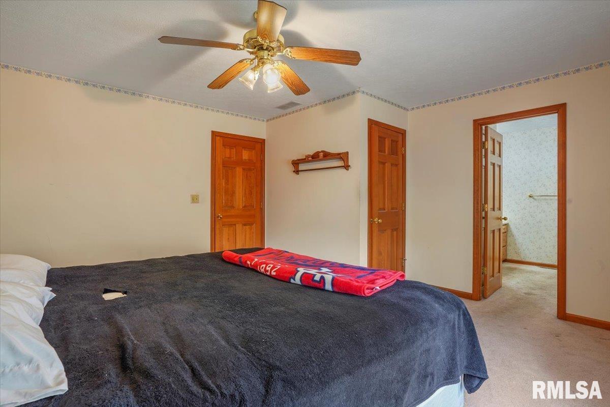 114 West Sherry Drive Springfield, IL 62703 - Photo 9 of 19