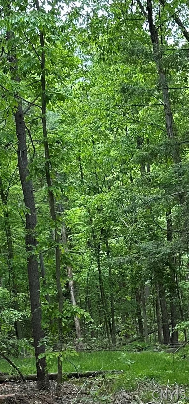 1501 Old State Road Colesville, NY 13833 - Photo 7 of 28