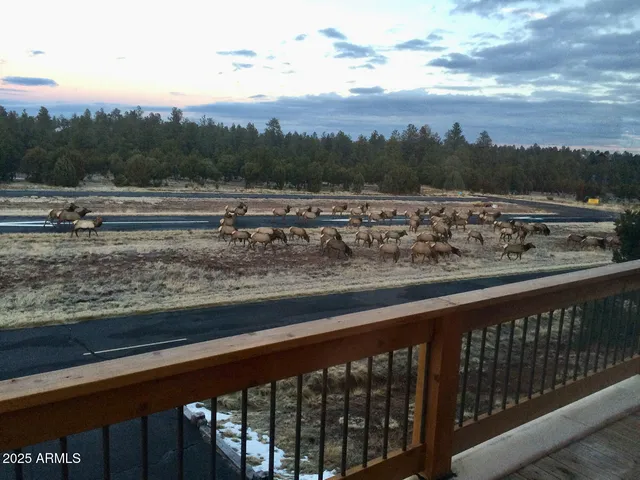 $1,395,000 | 2344 Hellcat Circle, Overgaard, AZ 85933