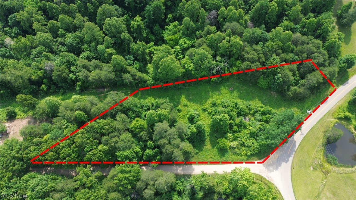0 East Side Hayman Road Long Bottom, OH 45743 - Photo 3 of 14