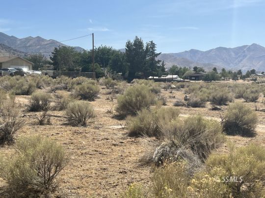 Ray Lane Weldon, CA 93283 - Photo 19 of 26