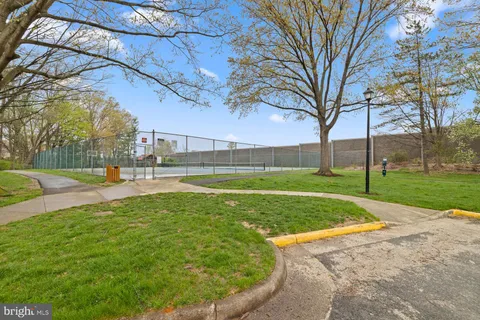 a view of a park with large trees