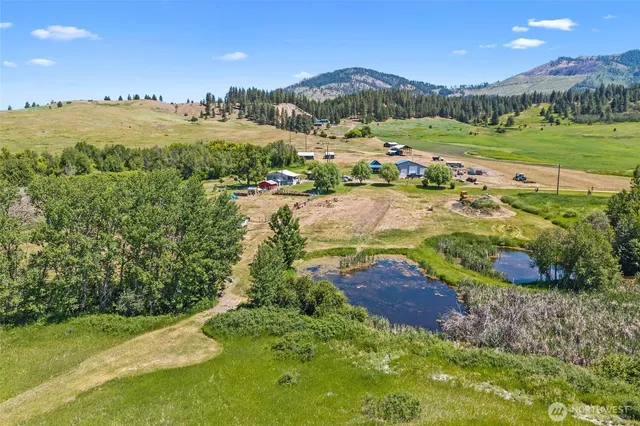 a view of a lush green hillside and houses