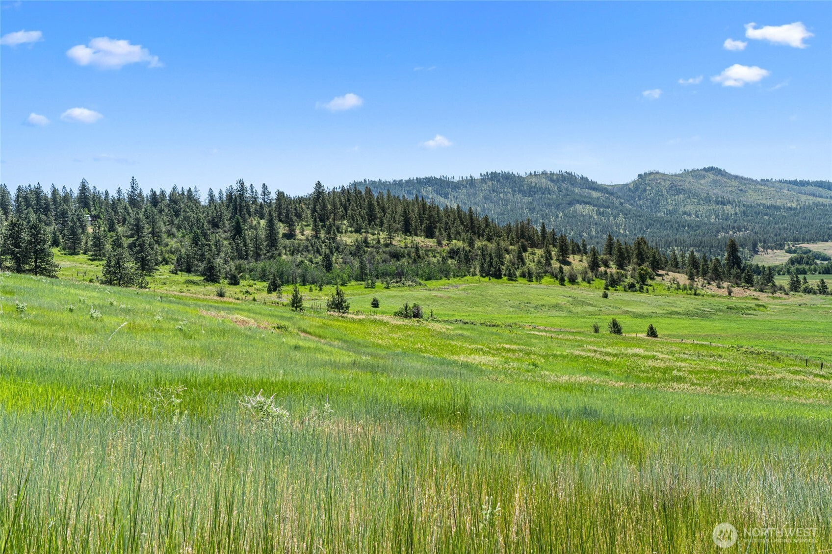 5793 Fruitland Valley Road Fruitland, WA 99129 - Photo 21 of 34 a view of a golf course with a yard