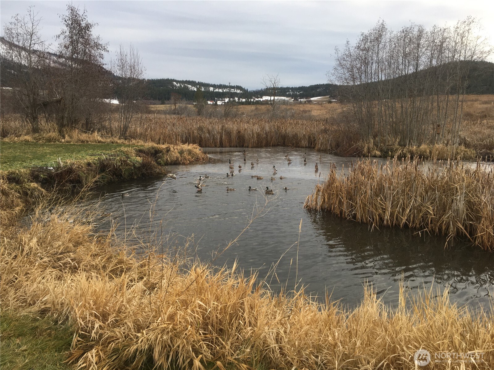 5793 Fruitland Valley Road Fruitland, WA 99129 - Photo 28 of 34 a view of lake