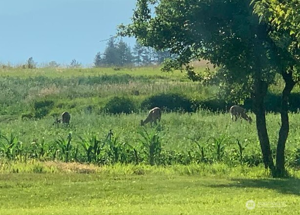5793 Fruitland Valley Road Fruitland, WA 99129 - Photo 29 of 34 a view of a garden