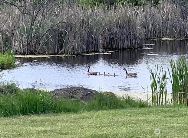 5793 Fruitland Valley Road Fruitland, WA 99129 - Photo 30 of 34 a view of backyard with green space