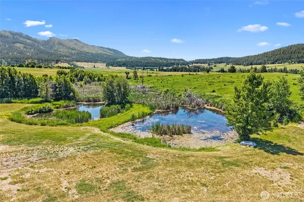 a view of a lake with a mountain in the background