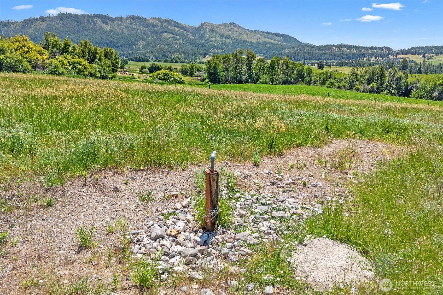 5793 Fruitland Valley Road Fruitland, WA 99129 - Photo 34 of 34 a view of a lush green hillside and a houses