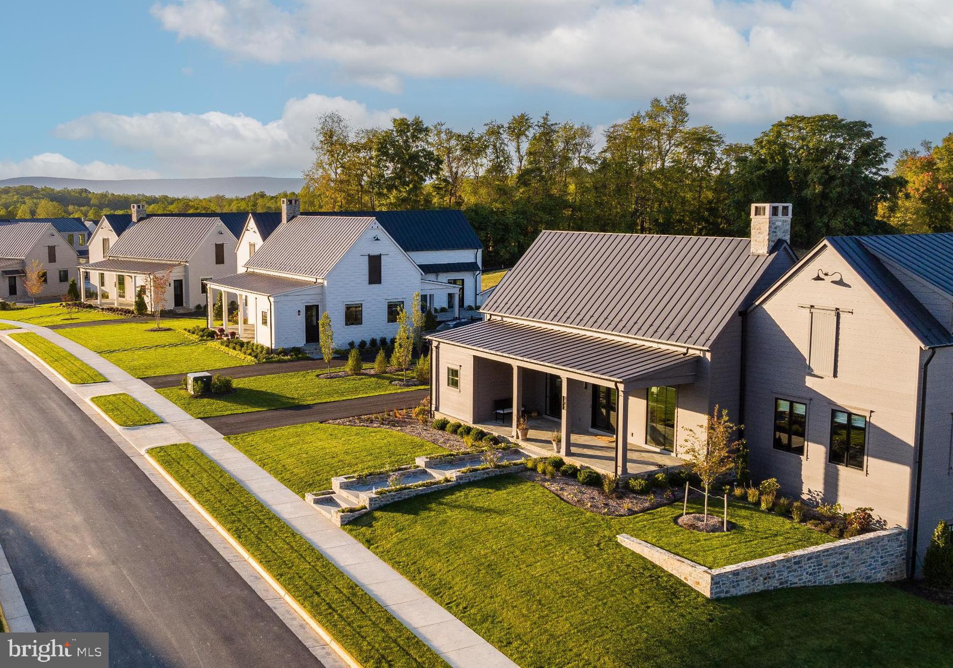 604 Martingale Ridge Drive Middleburg, VA 20117 - Photo 3 of 53 Martingale Ridge Drive overlooks Blue Ridge Mtns
