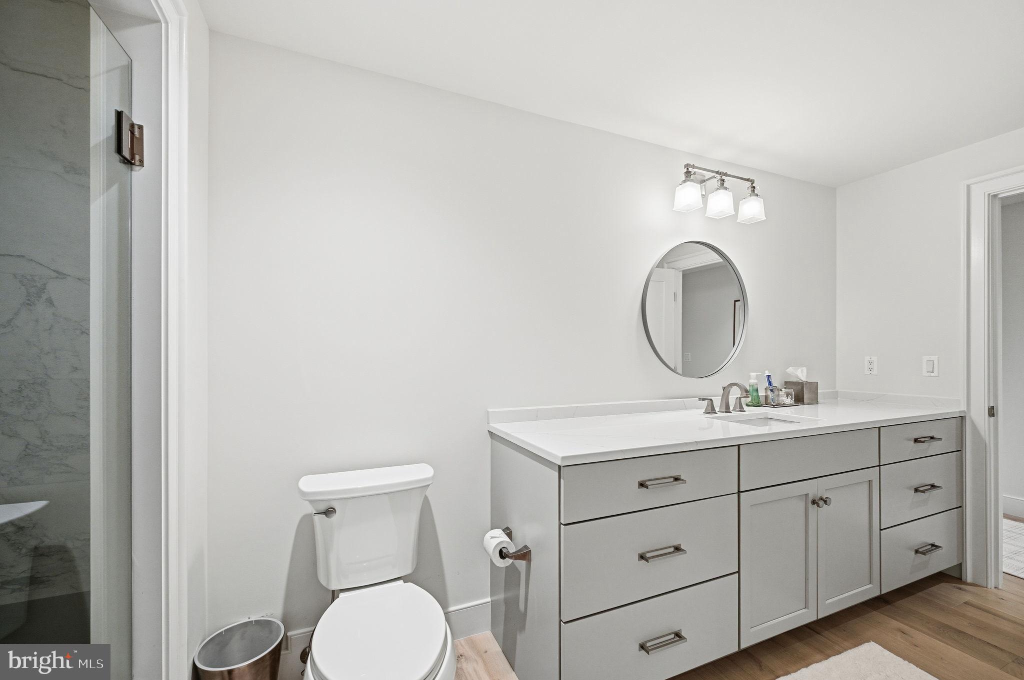 604 Martingale Ridge Drive Middleburg, VA 20117 - Photo 45 of 53 Ensuite bathroom with elegant finishes.