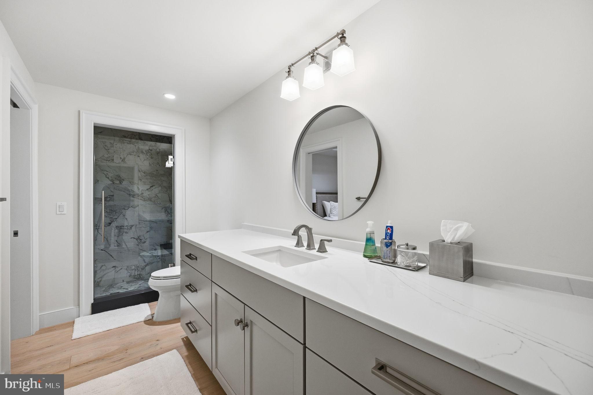 604 Martingale Ridge Drive Middleburg, VA 20117 - Photo 47 of 53 Sleek modern bathroom with elegant finishes.
