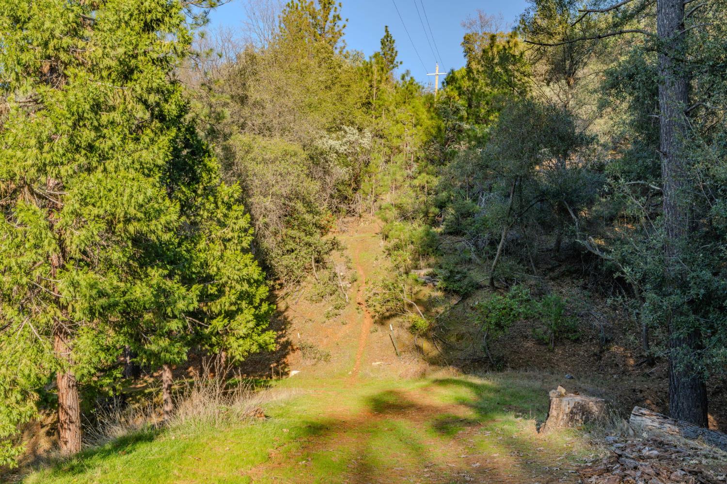 17630 Ridge Road Pine Grove, CA 95665 - Photo 54 of 80 Gallery Image 54