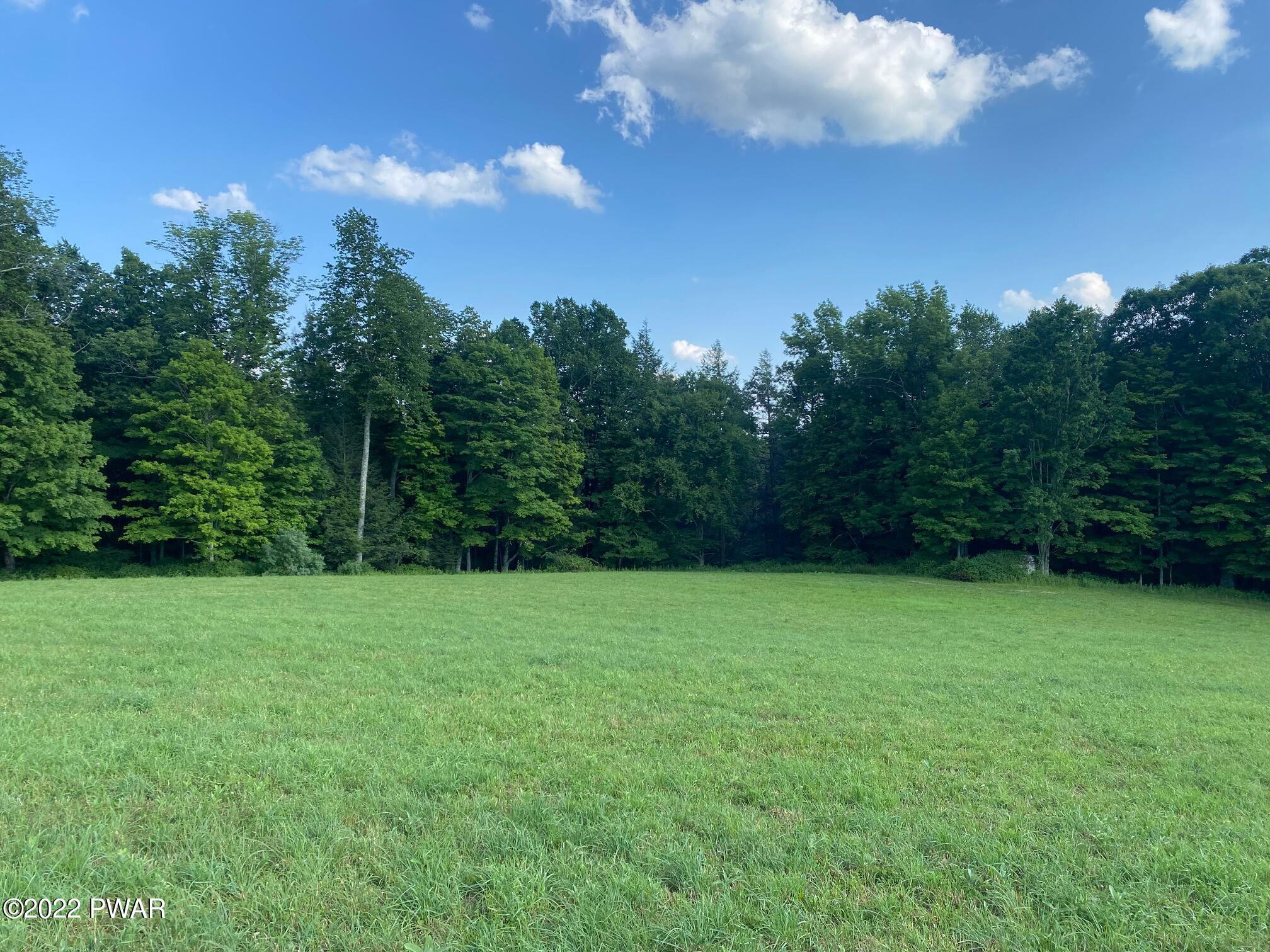 Calkins Road Milanville, PA 18443 - Photo 6 of 30
