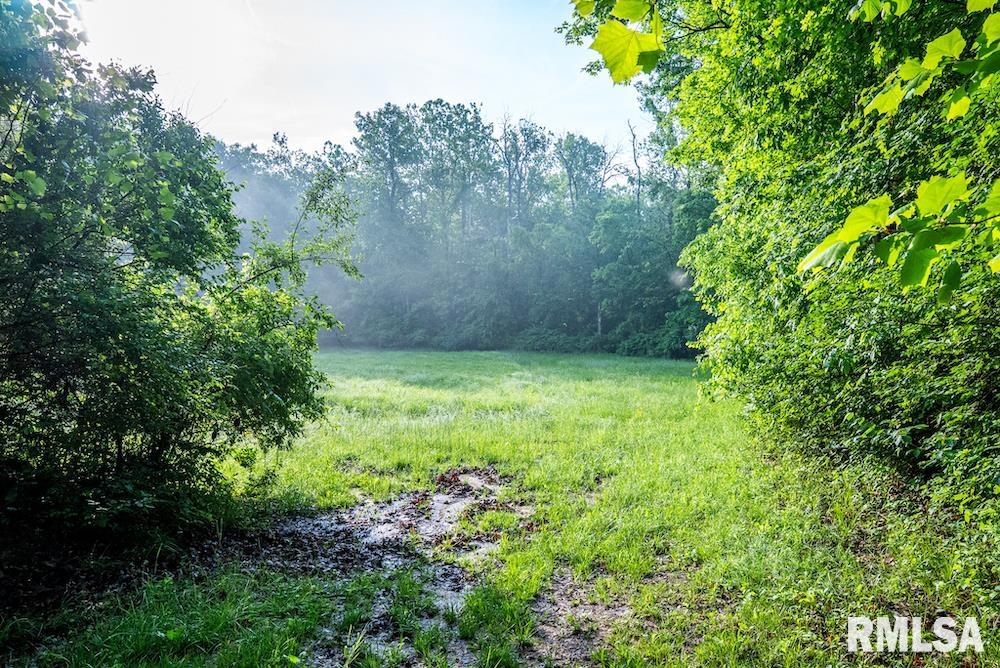 3918 North St Marie Road Olney, IL 62450 - Photo 65 of 98